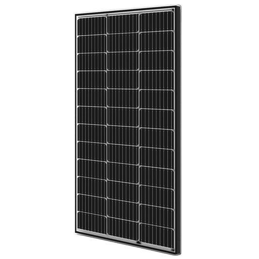 Panneau solaire bifacial 100W monocristallin de Lumera